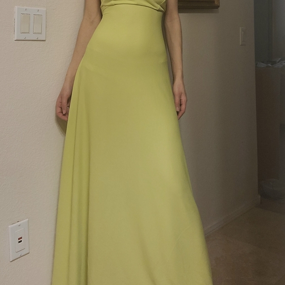 Zara Dress - Picture 12 of 14